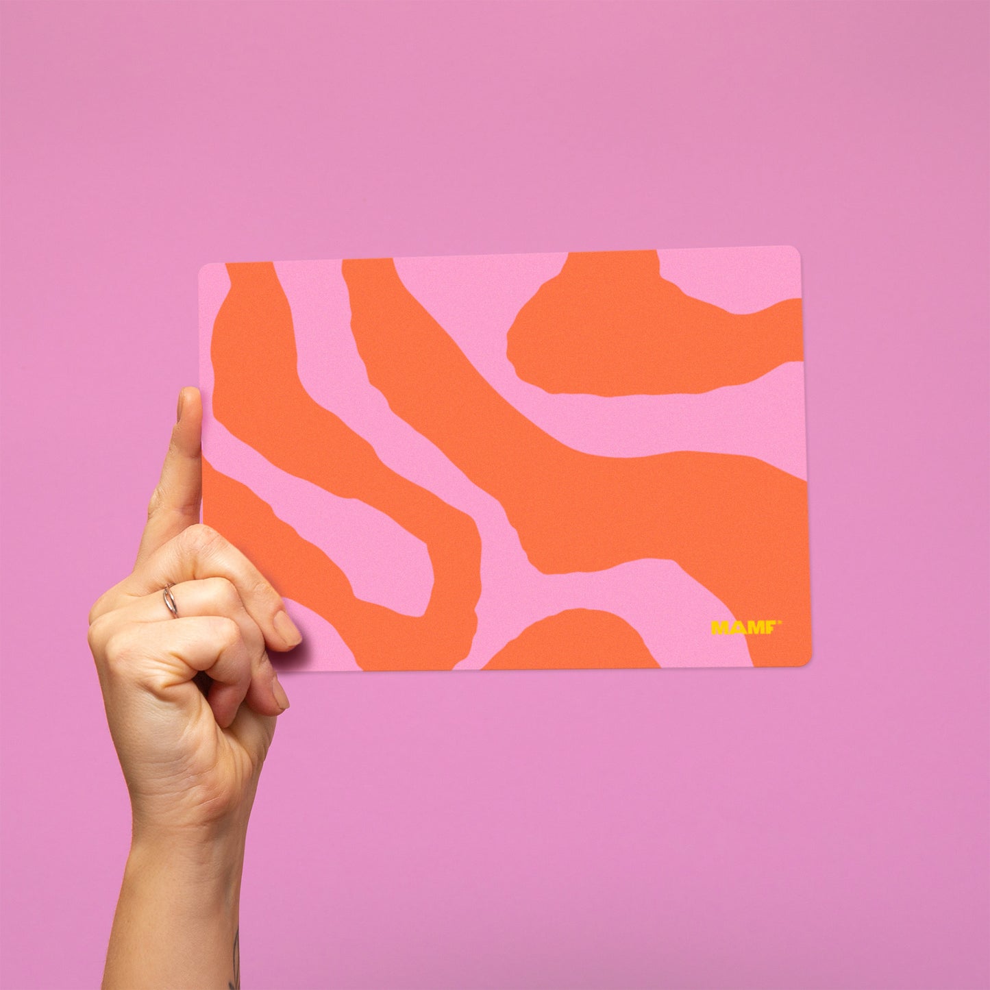 "Snack Balance" Bundle