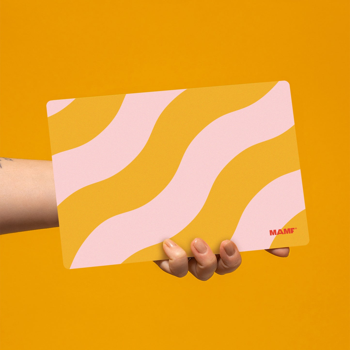 "Snack Balance" Bundle